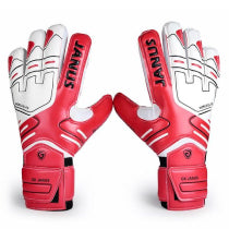 Goalie Gloves