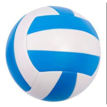 Volleyballs