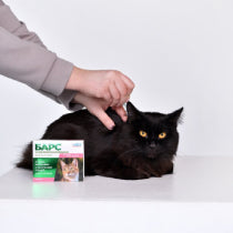 Cat Flea & Tick Treatments