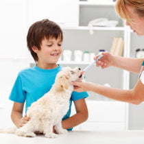 Pet Dewormers