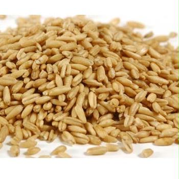 Grains Whole Oat Groats (1x25LB )