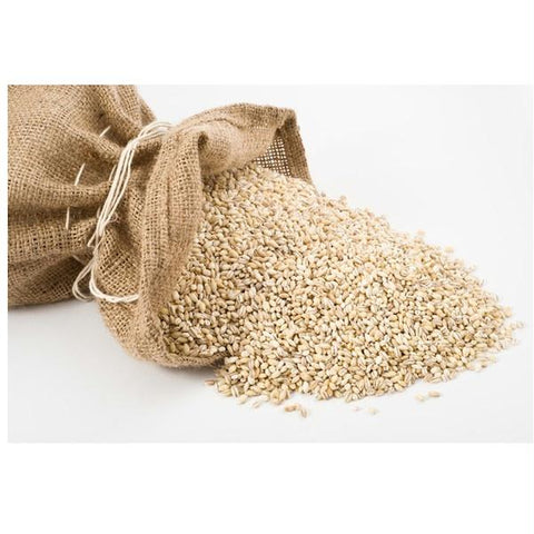 Grains Pearled Barley (1x25LB )