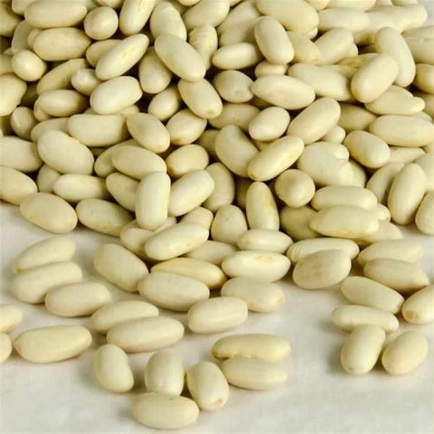 Beans Cannellini Beans (1x25LB )