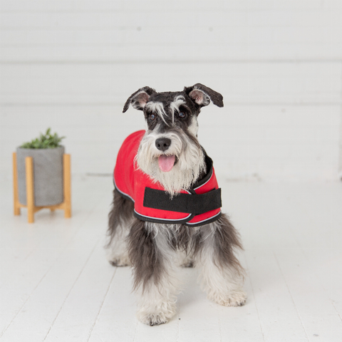 Dog Blanket Jacket