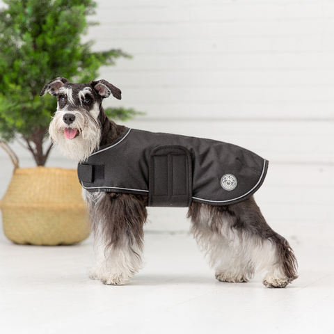 Dog Blanket Jacket