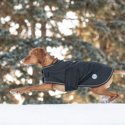 Dog Blanket Jacket