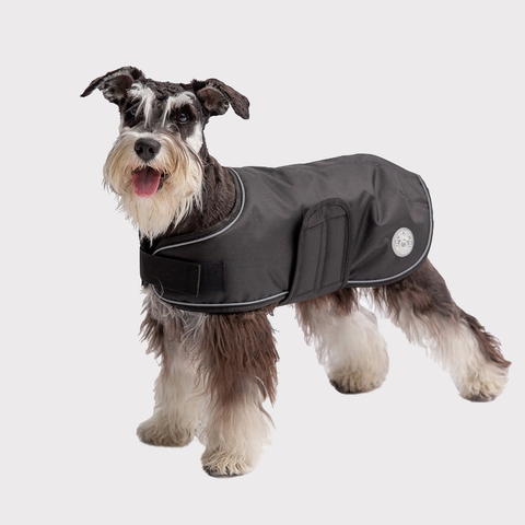 Dog Blanket Jacket