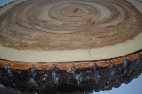 Rustic Wood Slab, Charcuterie boards, Cutting Boards, Cake Stands, Serving Platters or Center Pieces With Bark