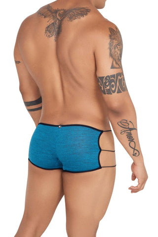 Mesh Briefs