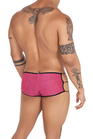 Mesh Briefs