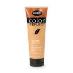 Shikai Color Reflect Warm Shampoo (1x8 Oz)