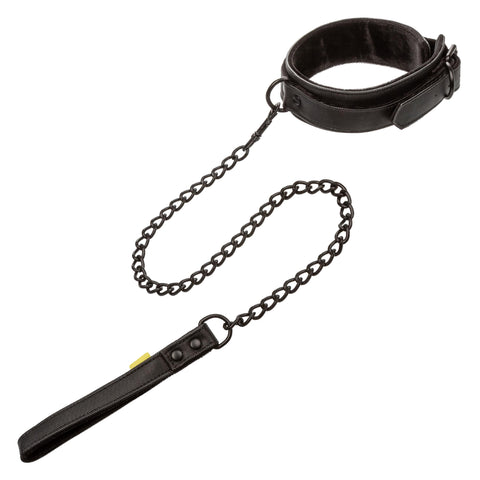 Boundless Collar &amp; Leash