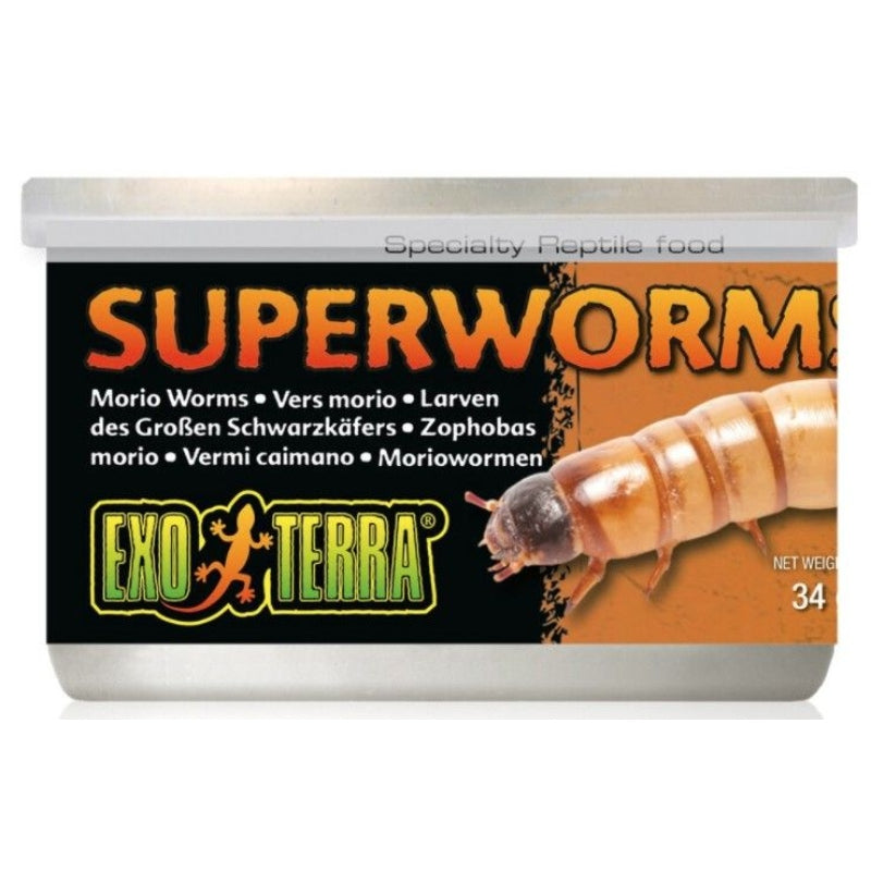 Exo Terra Canned Superworms Specialty Reptile Food - 1.2 Oz