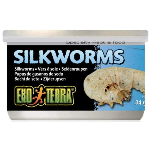 Exo Terra Canned Silkworms Specialty Reptile Food - 1.2 Oz