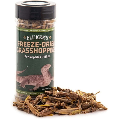 Flukers Freeze-dried Grasshoppers - 1 Oz