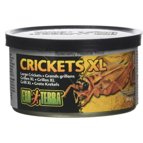 Exo Terra Canned Crickets Xl Specialty Reptile Food - 1.2 Oz