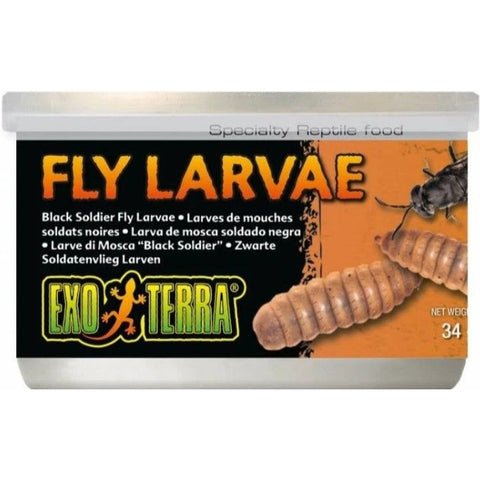 Exo Terra Canned Black Soldier Fly Larvae Specialty Reptile Food - 1.2 Oz