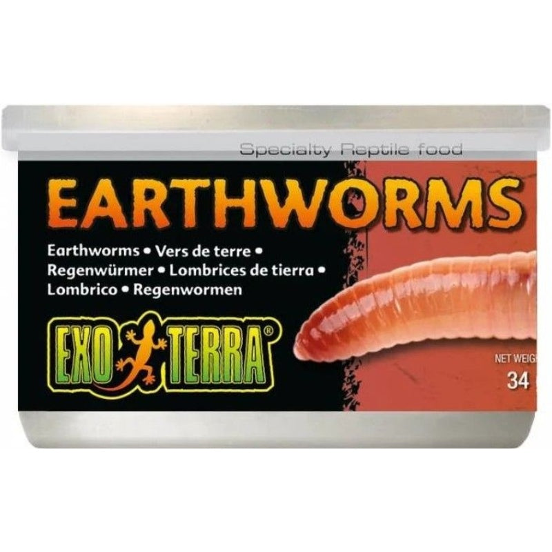 Exo Terra Canned Earthworms Specialty Reptile Food - 1.2 Oz