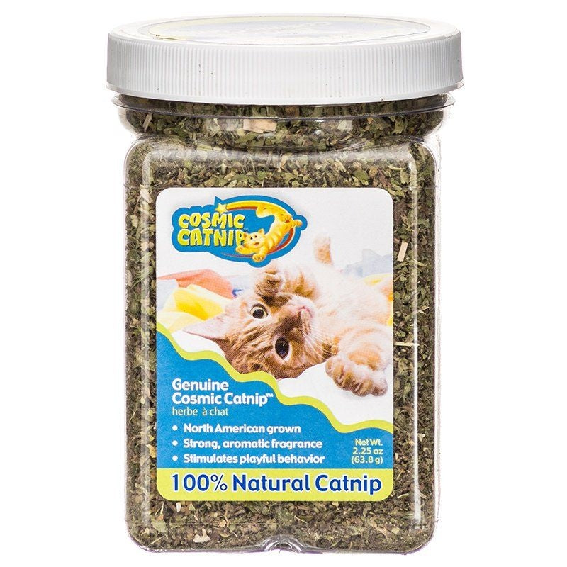 Ourpets Cosmic Catnip Cosmic Catnip - 2 Oz Cup