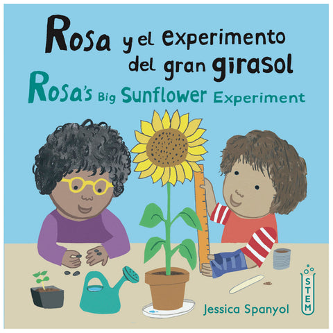 Workshop/El Taller De Rosa Books, Set of 4