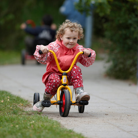 Toddler Trike