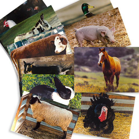 Farm Animal Real Life Learning Poster Set, Set of 10