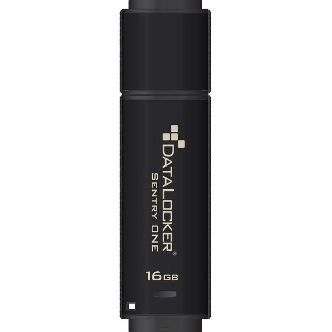 DataLocker Sentry ONE Encrypted Flash Drive