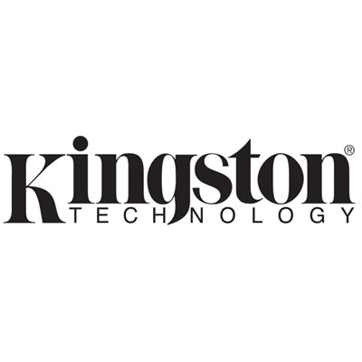 KingstonIron Key USB