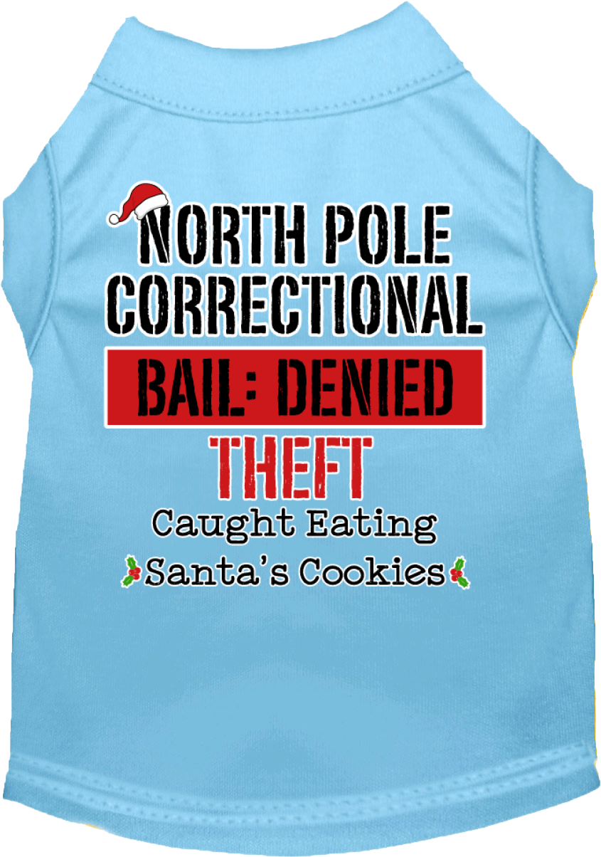 North Pole Correctional Screen Print Dog Shirt Baby Blue Size Lg