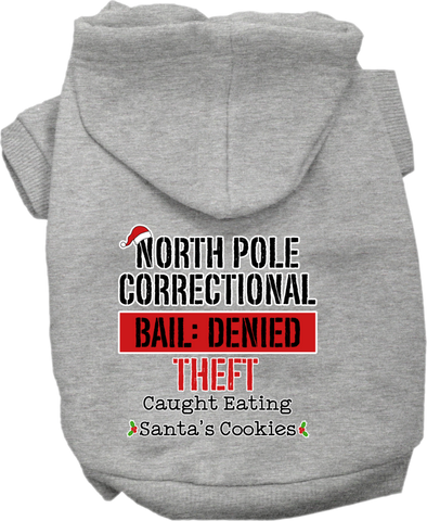 North Pole Correctional Screen Print Dog Hoodie Grey Size Lg