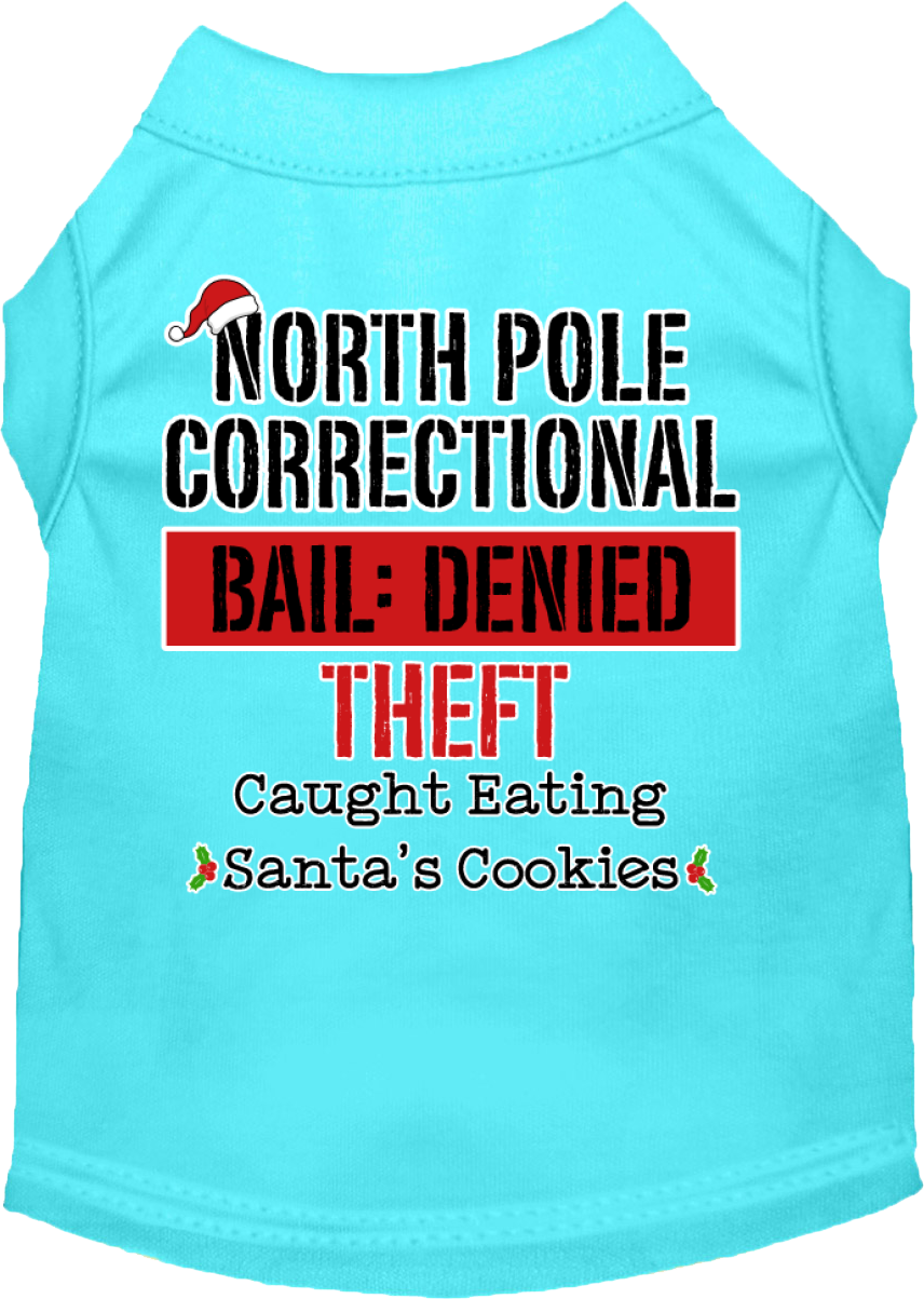 North Pole Correctional Screen Print Dog Shirt Aqua Size Xl