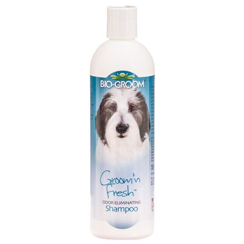 Bio Groom Groom N Fresh Shampoo - 12 Oz