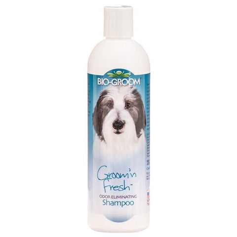 Bio Groom Groom N Fresh Shampoo - 12 Oz