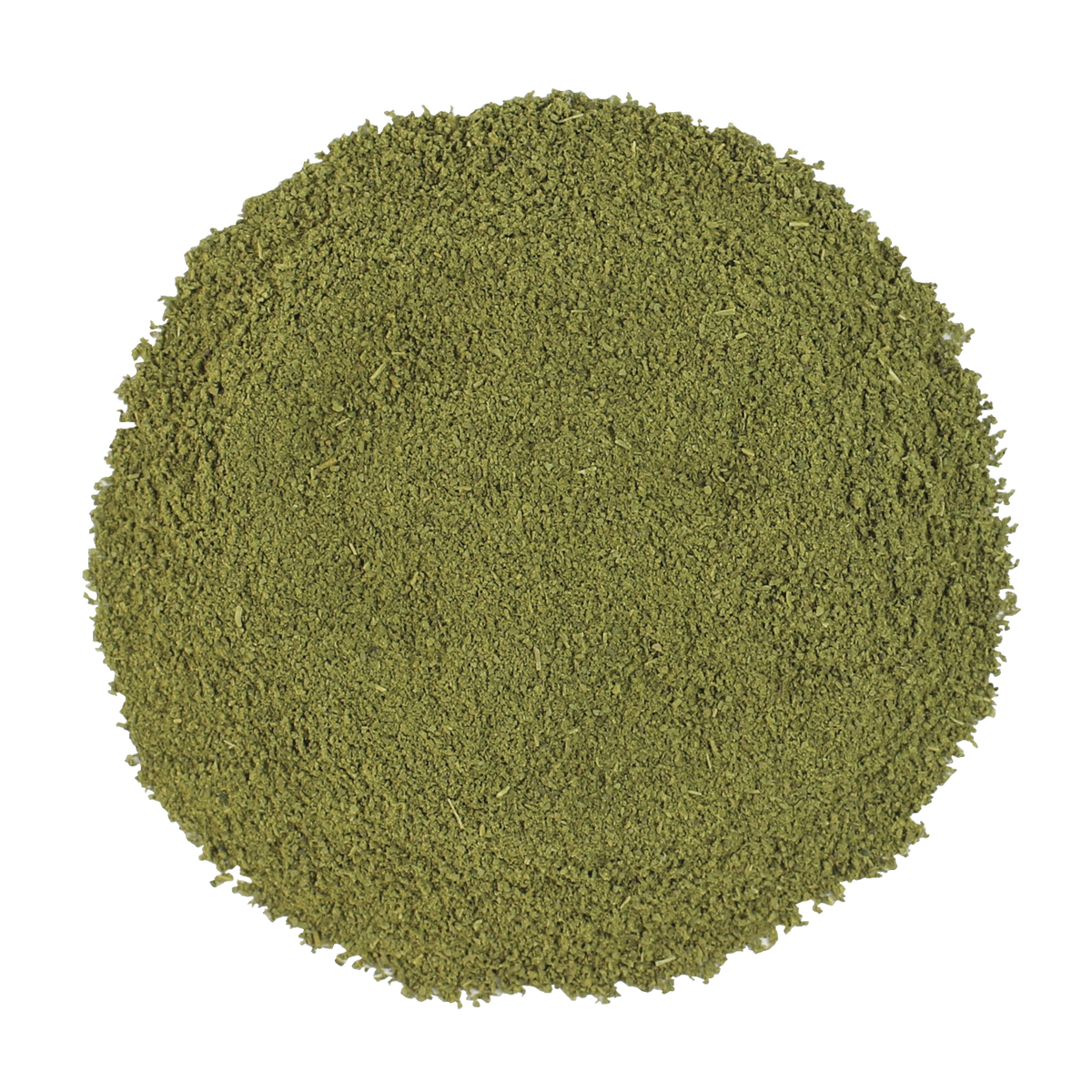 Moringa Powder Organic