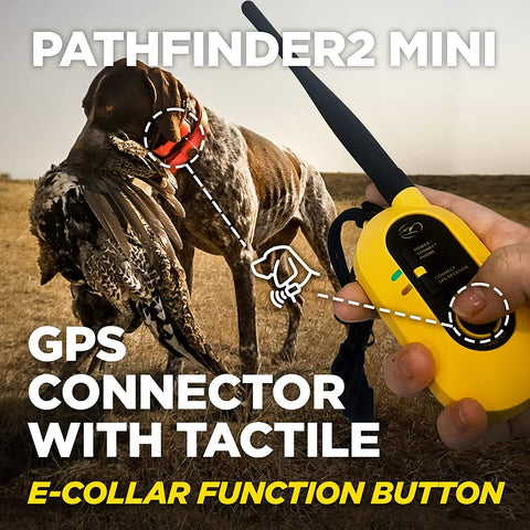 Dogtra Pathfinder2 Mini Gps Dog Tracking And Dog Training System