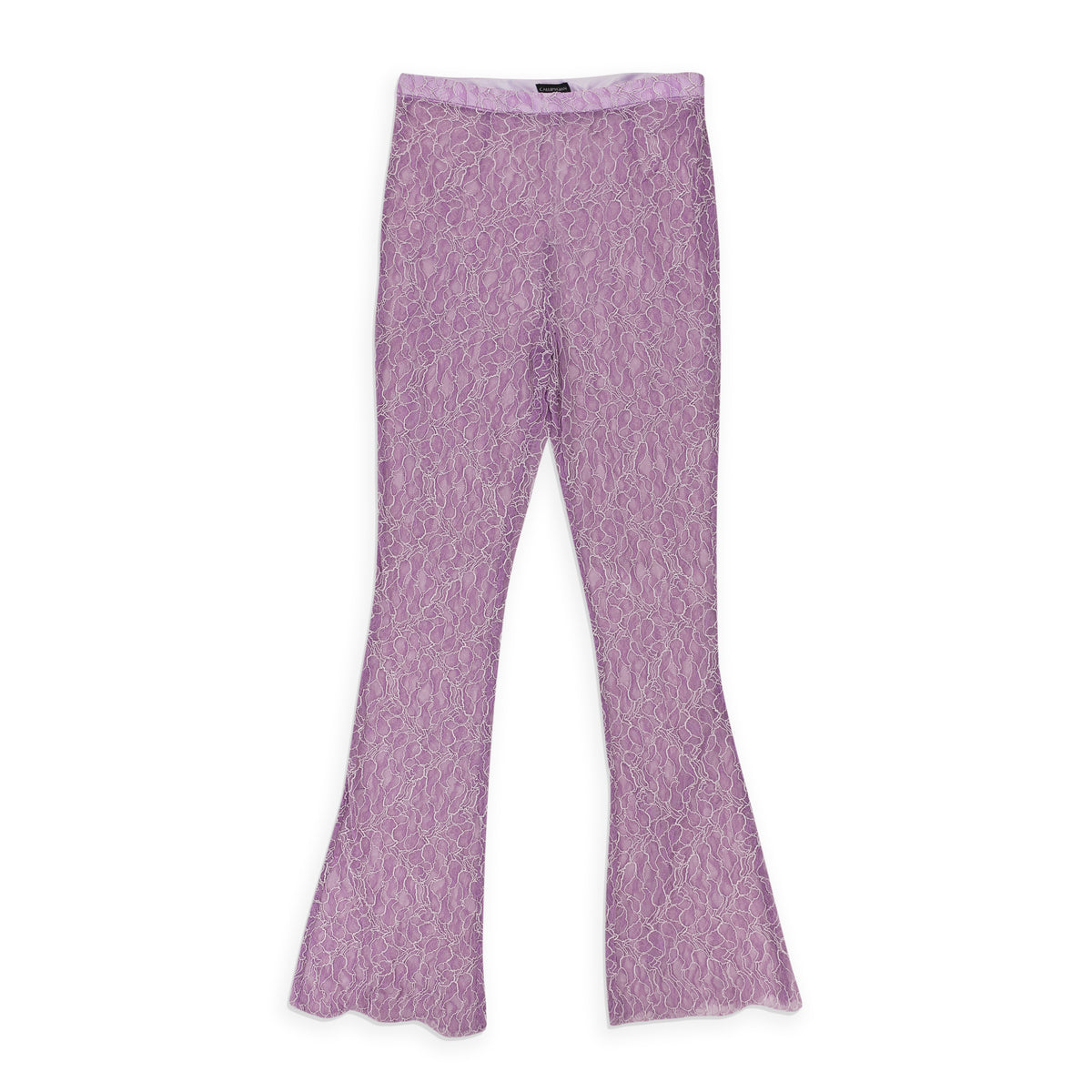 95-CPN-1091/8 P13026_PURPLE PURPLE CALLIPYGIAN LACE PANT Size 8