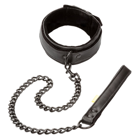 Boundless Collar &amp; Leash