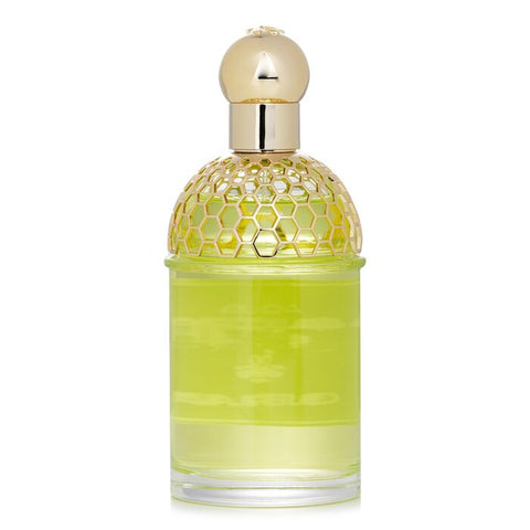 Aqua Allegoria Forte Nerolia Vetiver Eau De Parfum Spray