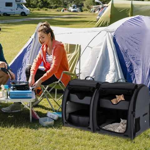 Double Compartment Pet Carrier with 2 Removable Hammocks-Black