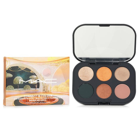 Connect In Colour Eye Shadow (6x Eyeshadow) Palette