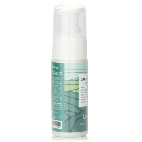 Green Tea Cleansing Foam - 150ml/5.07oz