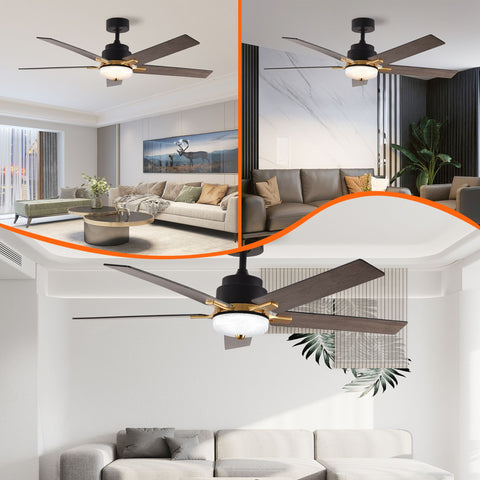 52" Black and Gold And Dark Brown Propeller Five Blade Dimmable Remote Control Integrated Light Ceiling Fan