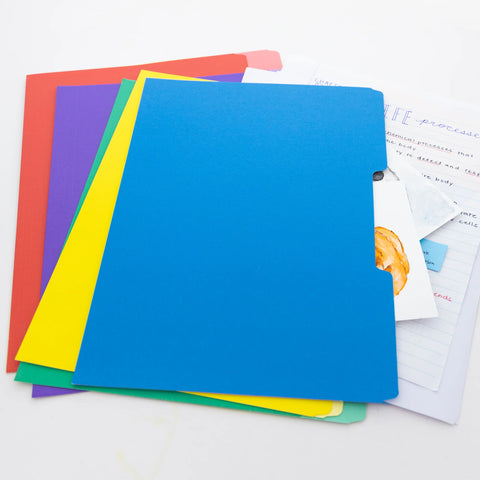 1/3 Cut Letter Size Color File Folder, Box of 100