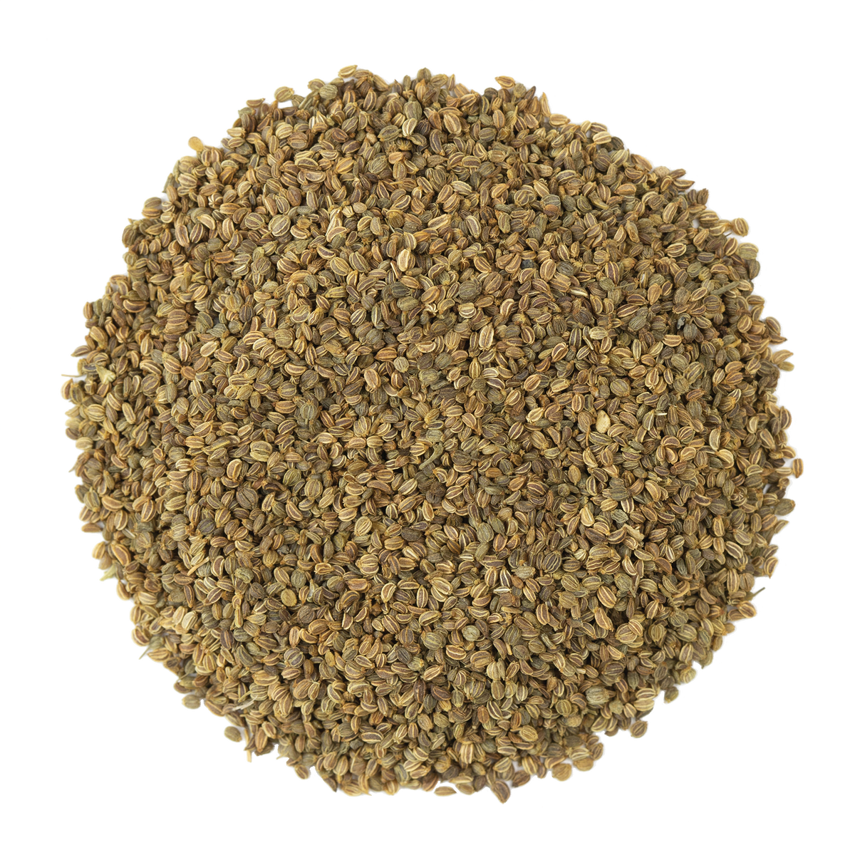 Frontier Herb Whole Celery Seed (1x1lb)