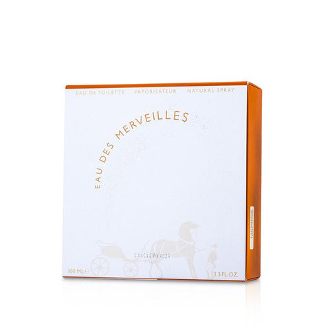 Eau Des Merveilles by Hermes Eau De Toilette Spray for Women