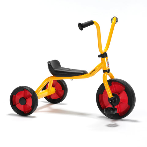 Toddler Trike