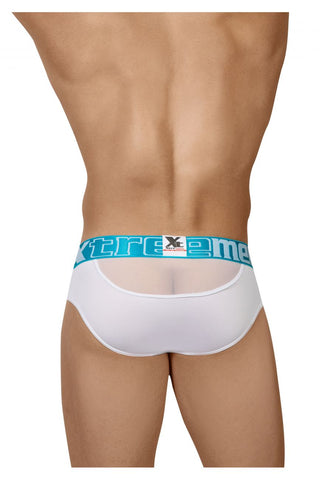 Peekaboo Mesh Briefs