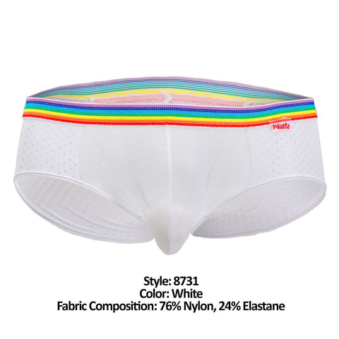 PIK 8731 Fancy Briefs