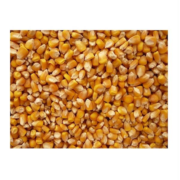 Grains Popcorn Yellow (1x25lb )