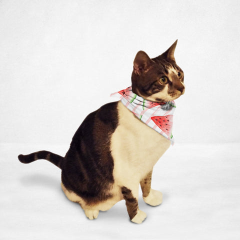 Juicy Watermelon Cat & Dog Bandana